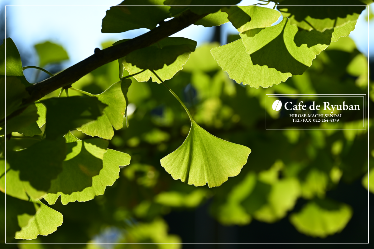 カフェ ドゥ　リュウバン